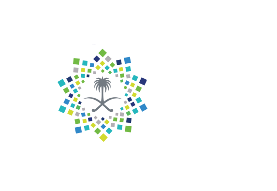 Saudi Vision 2030